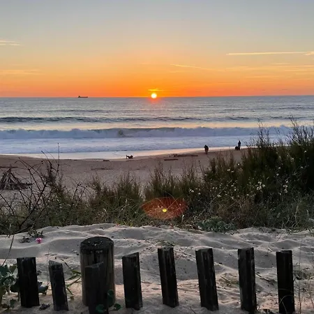 Paisible A La Plage, Piscine Et Tennis 昂德雷斯
